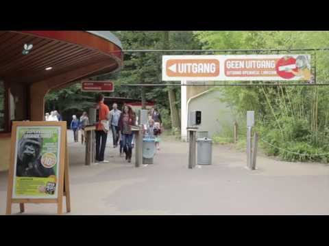 [video] Leerplein055 leerlingen halen oude mobieltje op voor ‘knok voor gorilla’s’