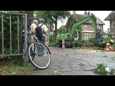 Bomenkap Regentesselaan begonnen