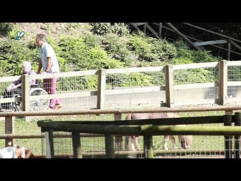 [video] Stichting Present organiseert Kadaster Doe-dagen
